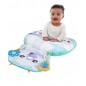 PLAYGRO coussin d'activité polar pais tummy time 0m+