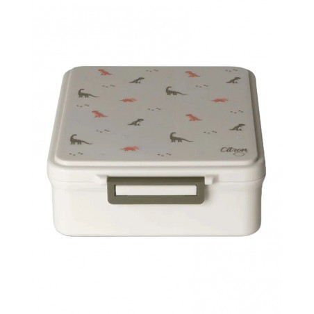 CITRON Grand Lunchbox avec Pot Alimentaire Isotherme - Dino Vert