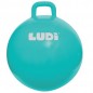 LUDI Ballon Sauteur XXL Bleu